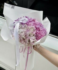 Bó Hoa Cẩm Tú Cầu tiểu thư