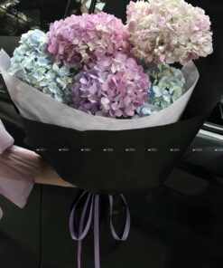 Bó Hoa Cẩm Tú Cầu tiểu thư